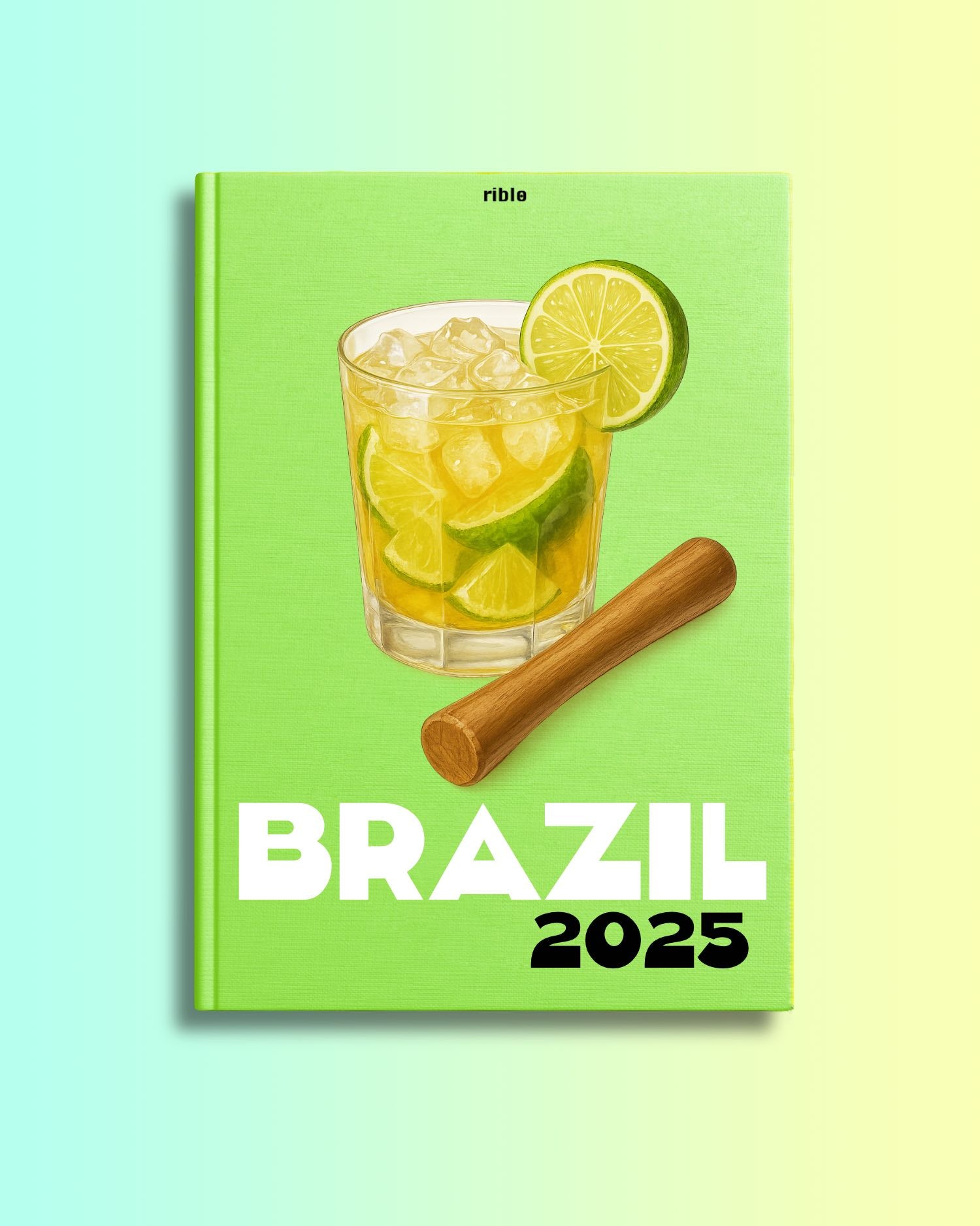 América del Sur - Viajes